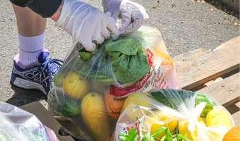 School Break Groceries - December 2023